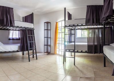 "__Dorm-8___|Oryx Hostel Tulum |Book Now"